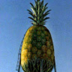 Meet your Posher, Esquella